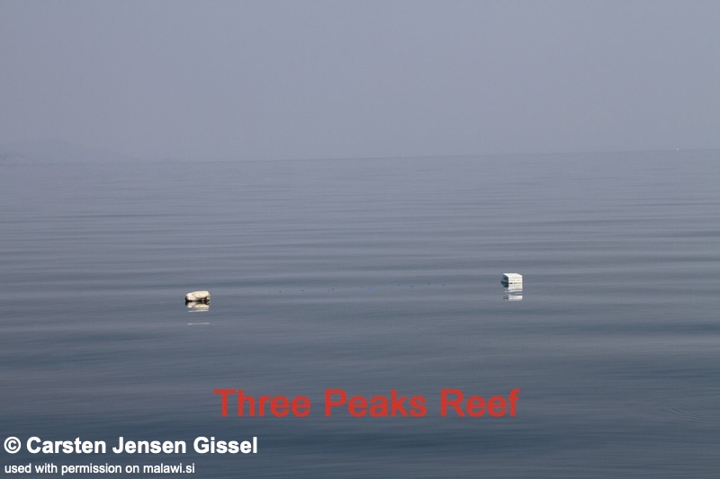 Three Peaks Reef 03